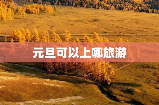 元旦可以上哪旅游