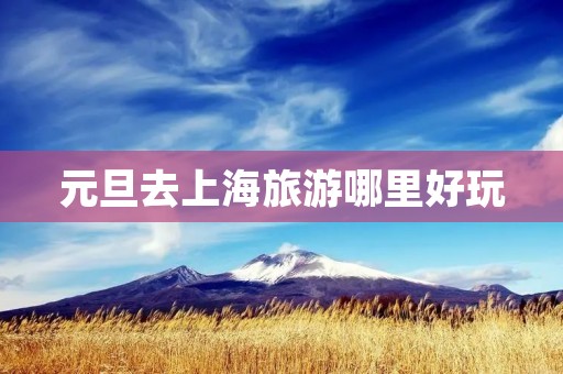 元旦去上海旅游哪里好玩