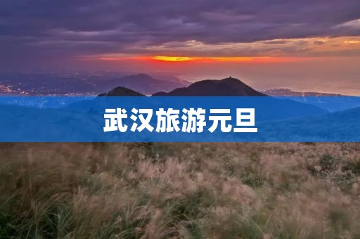 武汉旅游元旦