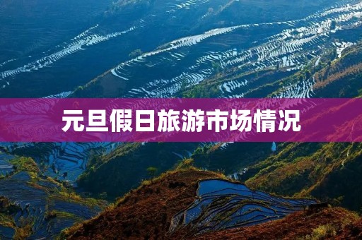 元旦假日旅游市场情况
