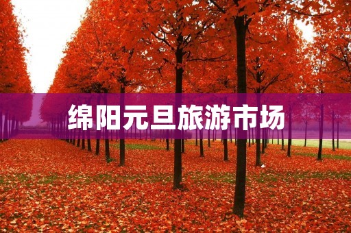 绵阳元旦旅游市场