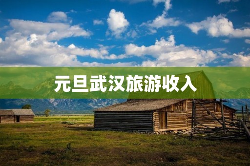 元旦武汉旅游收入