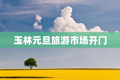 玉林元旦旅游市场开门