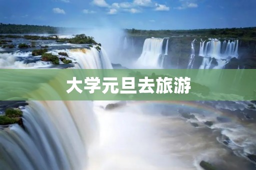 大学元旦去旅游