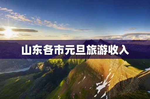 山东各市元旦旅游收入