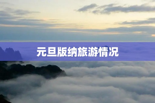 元旦版纳旅游情况