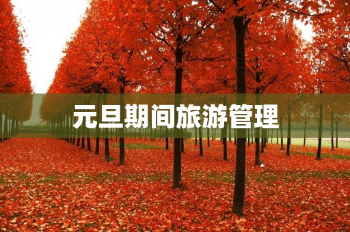 元旦期间旅游管理