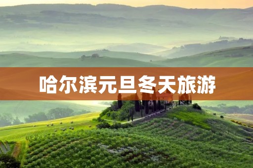 哈尔滨元旦冬天旅游