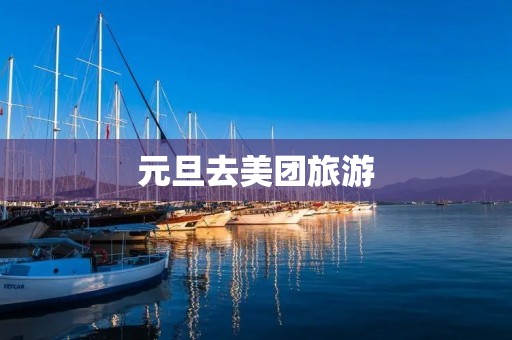 元旦去美团旅游