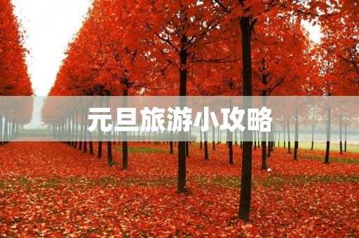 元旦旅游小攻略 元旦旅游小攻略