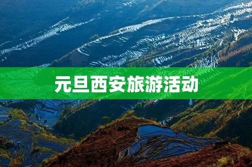 元旦西安旅游活动