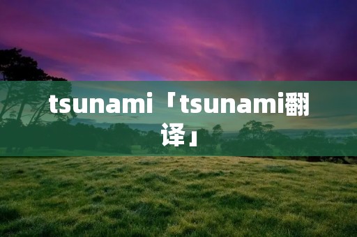 tsunami「tsunami翻译」