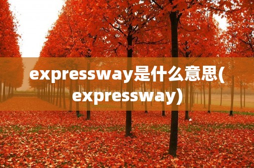 expressway是什么意思(expressway)