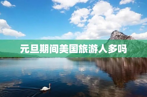 元旦期间美国旅游人多吗