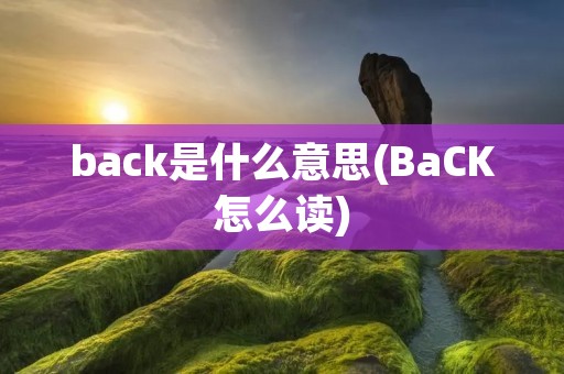back是什么意思(BaCK怎么读)