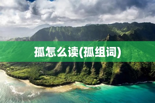 孤怎么读(孤组词)