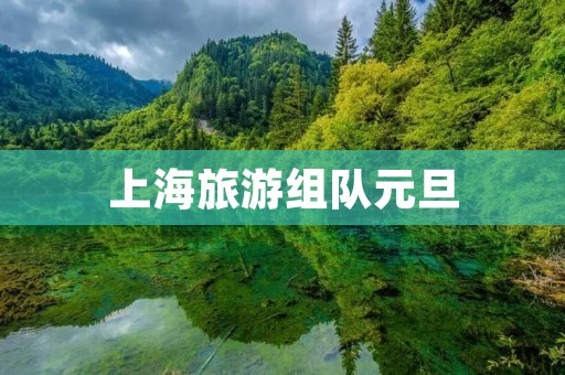 上海旅游组队元旦