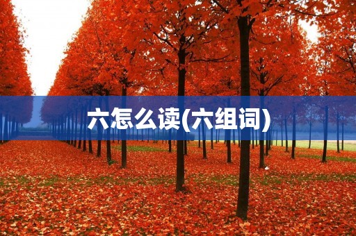 六怎么读(六组词)