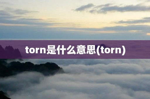 torn是什么意思(torn)
