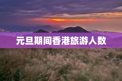 元旦期间香港旅游人数