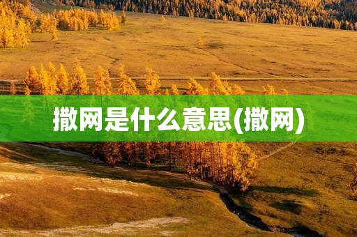 撒网是什么意思(撒网)