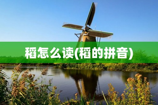 稻怎么读(稻的拼音)