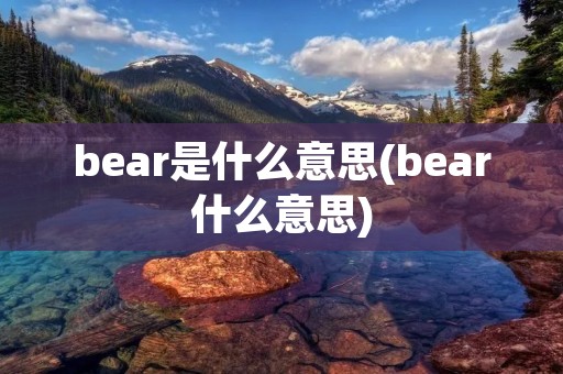 bear是什么意思(bear什么意思)