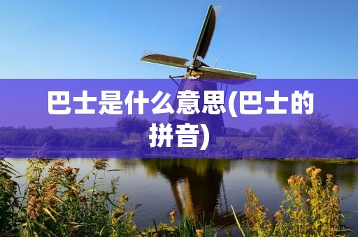 巴士是什么意思(巴士的拼音)