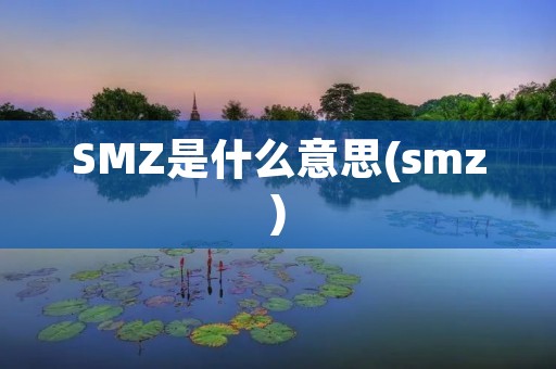 SMZ是什么意思(smz)