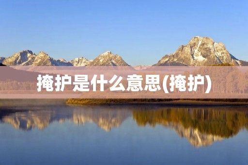 掩护是什么意思(掩护)