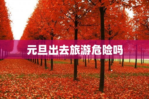元旦出去旅游危险吗