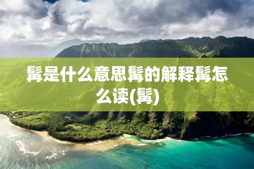 髯是什么意思髯的解释髯怎么读(髯) 髯是什么意思髯的解释髯怎么读(髯)