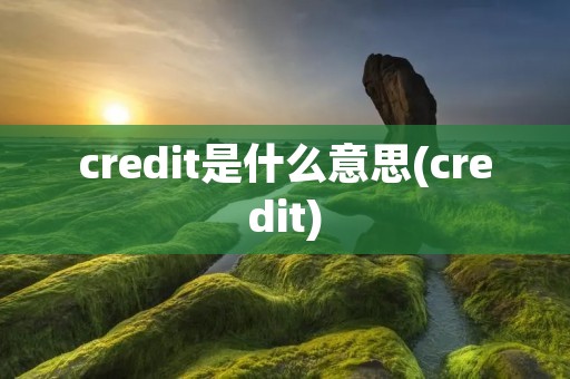 credit是什么意思(credit)