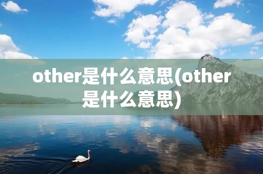 other是什么意思(other是什么意思)