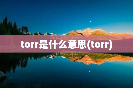 torr是什么意思(torr)