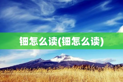 钿怎么读(钿怎么读)