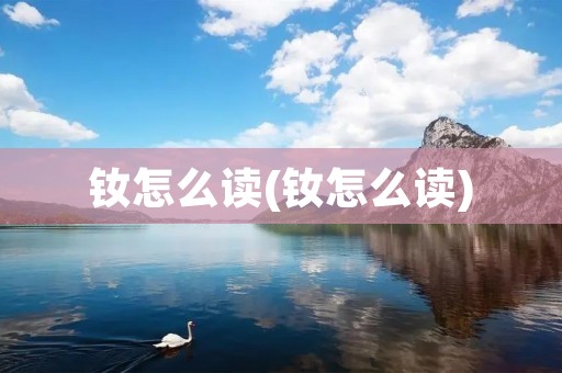 钕怎么读(钕怎么读)