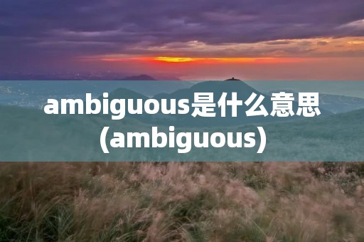 ambiguous是什么意思(ambiguous)