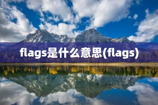 flags是什么意思(flags)