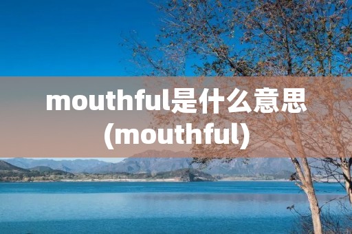 mouthful是什么意思(mouthful)