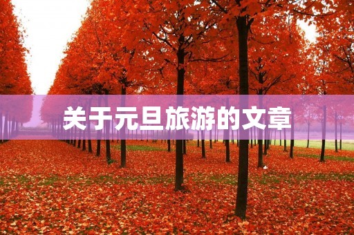 关于元旦旅游的文章