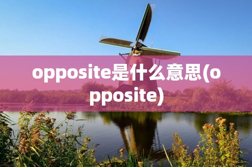 opposite是什么意思(opposite)