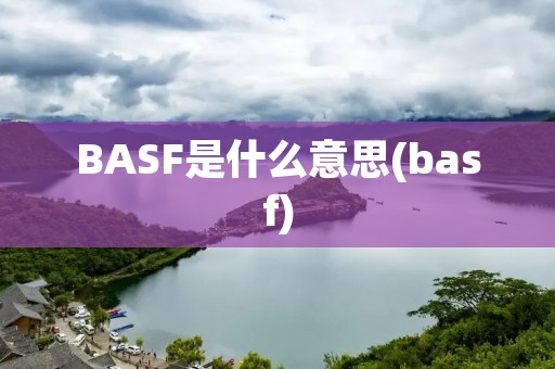 BASF是什么意思(basf)
