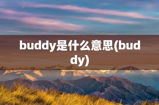 buddy是什么意思(buddy)