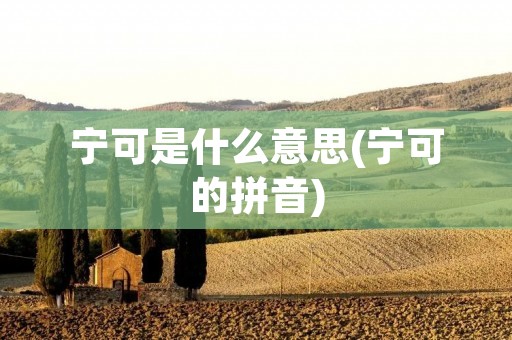 宁可是什么意思(宁可的拼音) 宁可是什么意思(宁可的拼音)