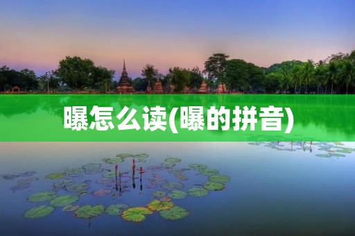 曝怎么读(曝的拼音)