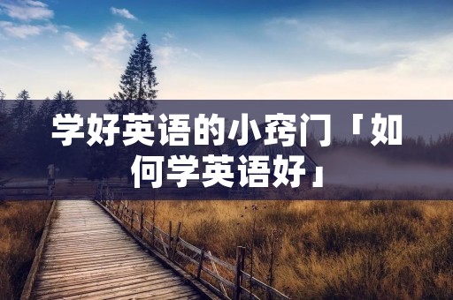 学好英语的小窍门「如何学英语好」