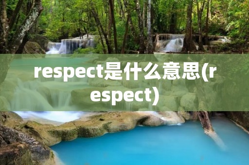 respect是什么意思(respect)