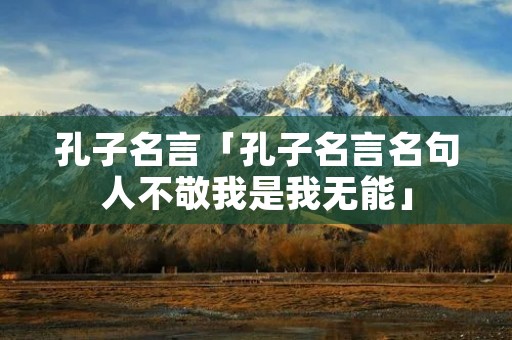 孔子名言「孔子名言名句人不敬我是我无能」