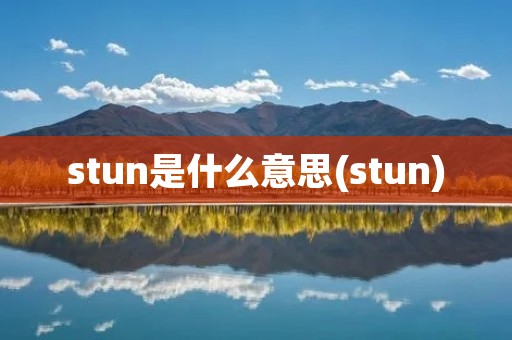 stun是什么意思(stun)